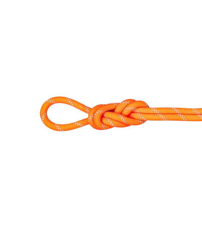 Mammut 9.5 Alpine Dry Rope Dry Standard 70m Winter 2025