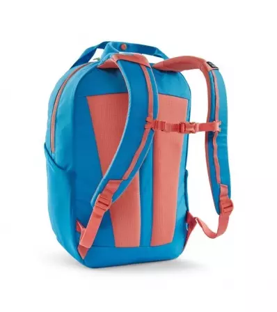 Patagonia Atom Tote Pack 20L Winter 2025