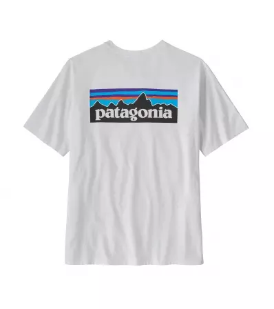 Patagonia P-6 Logo Responsibili-Tee M's Summer 2025