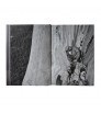 Patagonia Book