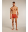 Icebreaker Merino Blend 125 Cool-Lite Anatomica Trunks