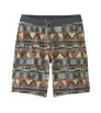 Patagonia Hydropeak Boardshorts 21